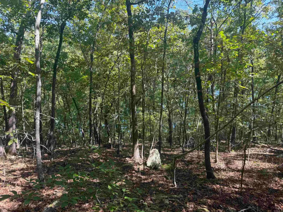 320 Lakeside Drive, Fairfield Bay, AR 72088 - #2