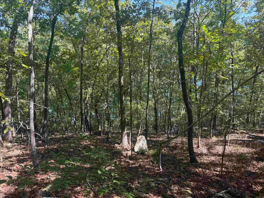 320 Lakeside Drive, Fairfield Bay, AR 72088 - #3
