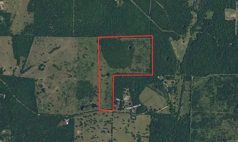 TBD Honeytree Lane, Camp, AR 72520 - #2