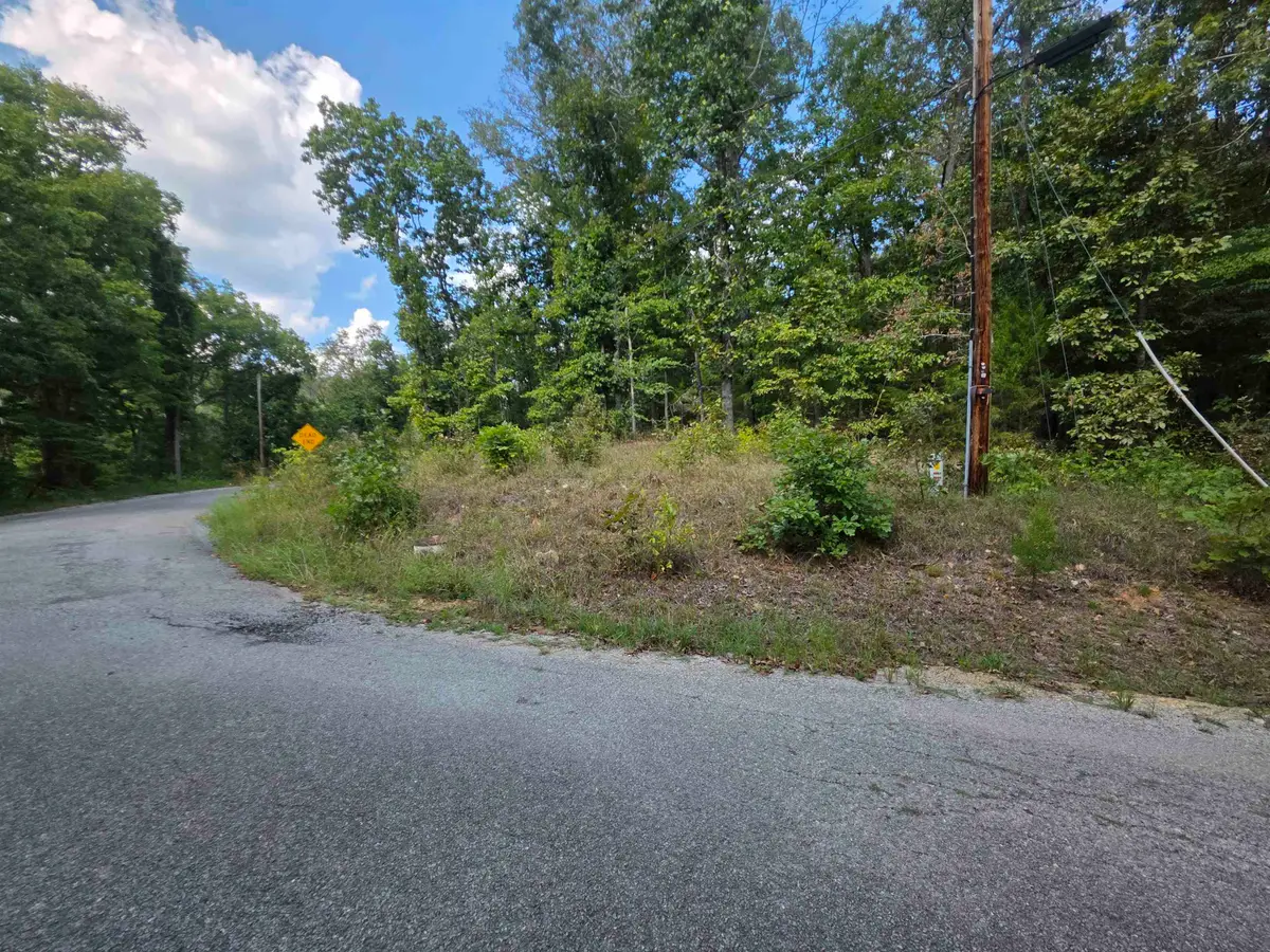 L13B6 Friar Tuck Drive, Hardy, AR 72542 - #1