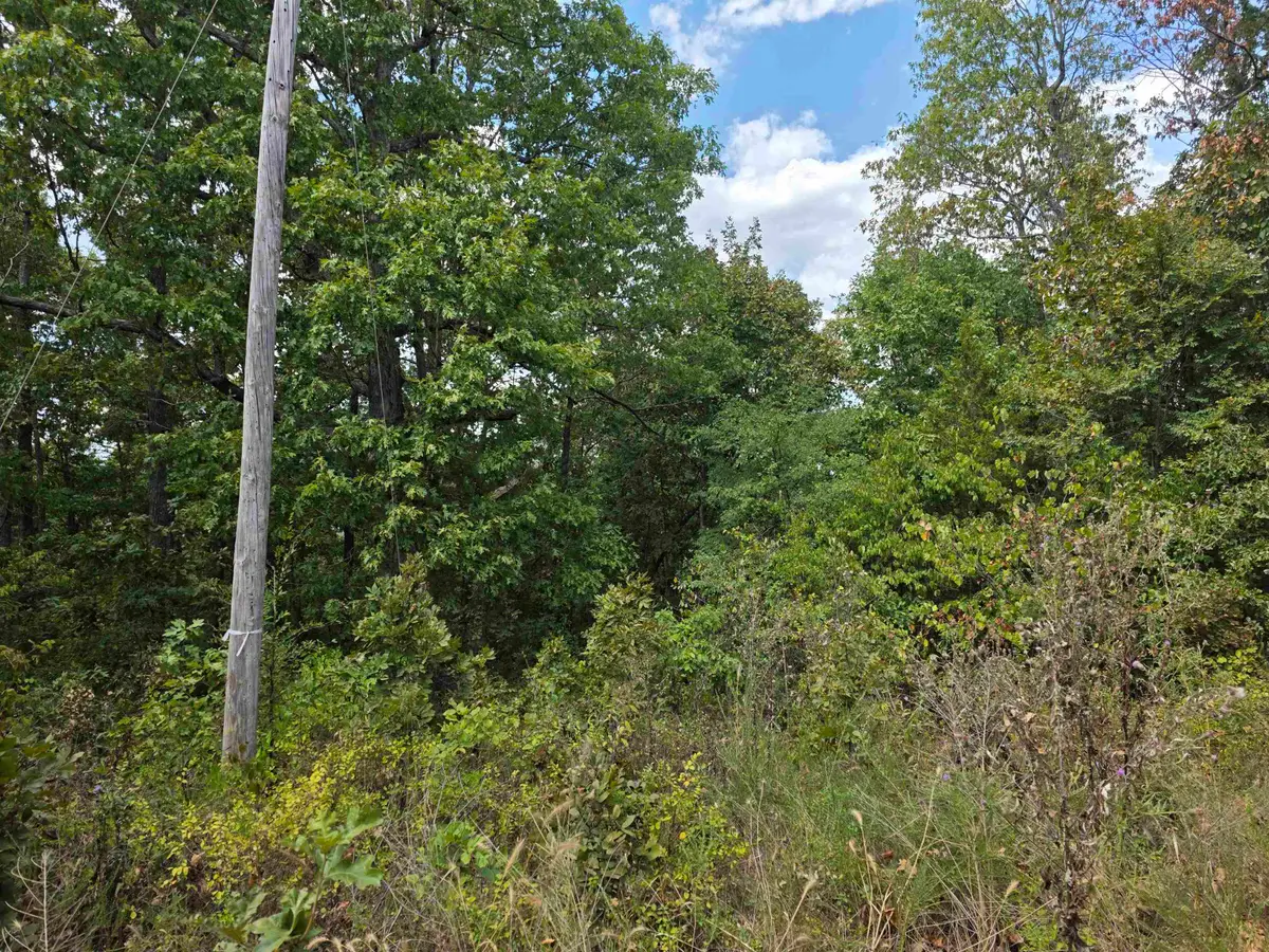 L4H Old Cc Road, Hardy, AR 72542 - #1