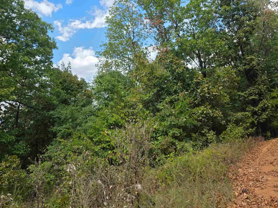 L4H Old Cc Road, Hardy, AR 72542 - #3