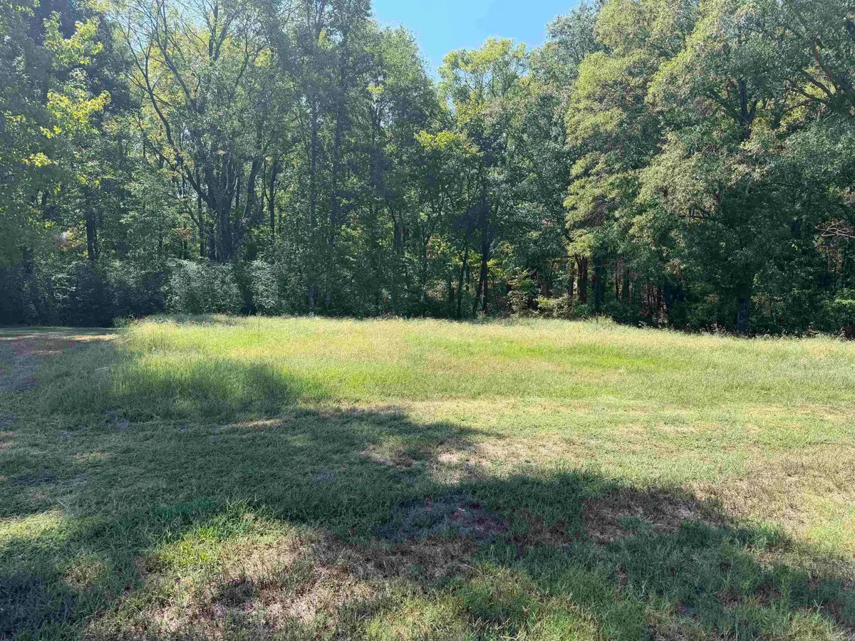 402 Hwy 286 E Tract 1, Conway, AR 72032 - #1