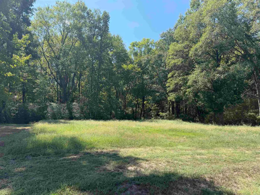 402 Hwy 286 E Tract 1, Conway, AR 72032 - #2