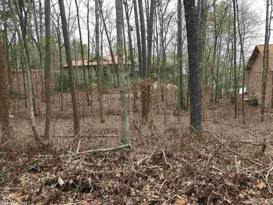 42 Hartura Way, Hot Springs Village, AR 71909 - #2