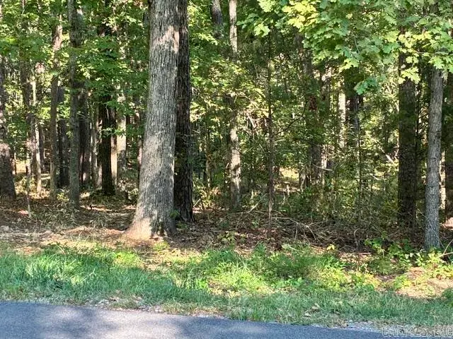 42 Hartura Way, Hot Springs Village, AR 71909 - #3