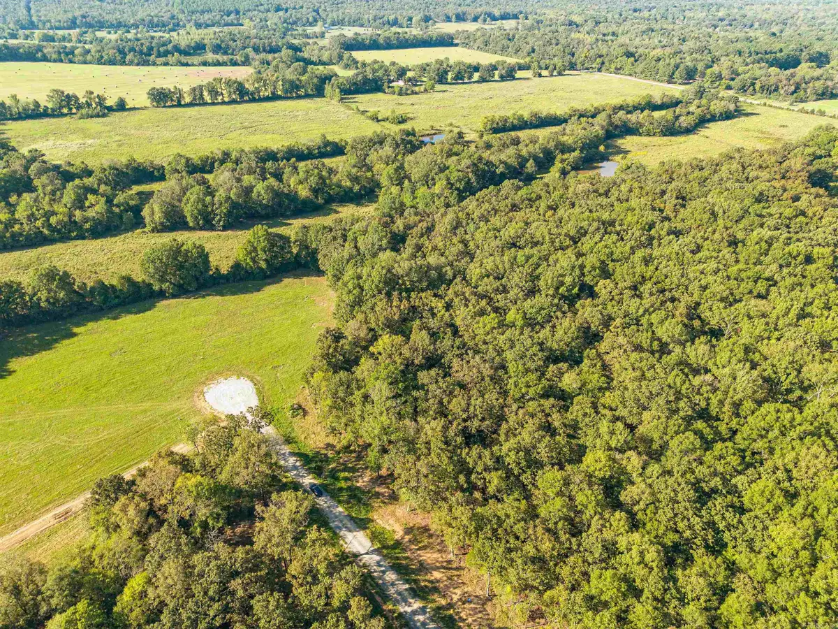 72 Holland Meadows, Harve, AR 72032 - #1