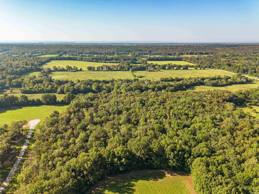 54 Holland Meadows, Harve, AR 72032 - #2