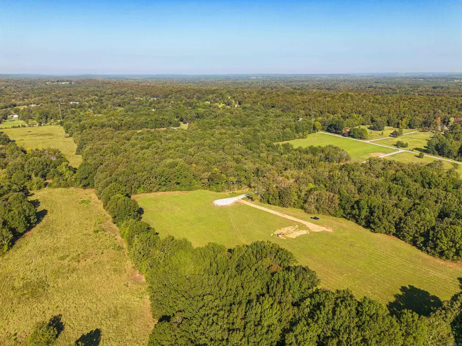 54 Holland Meadows, Harve, AR 72032 - #3