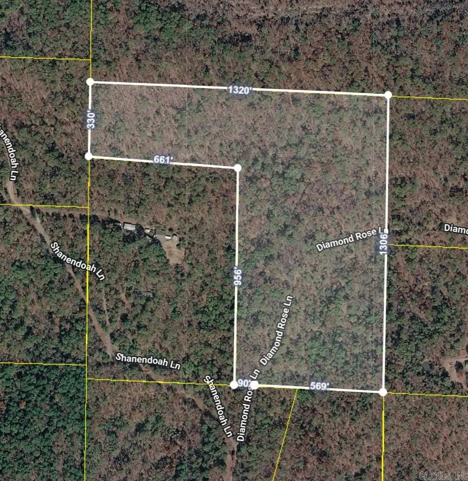 TBD Diamond Rose Lane, Mena, AR 71953 - #1