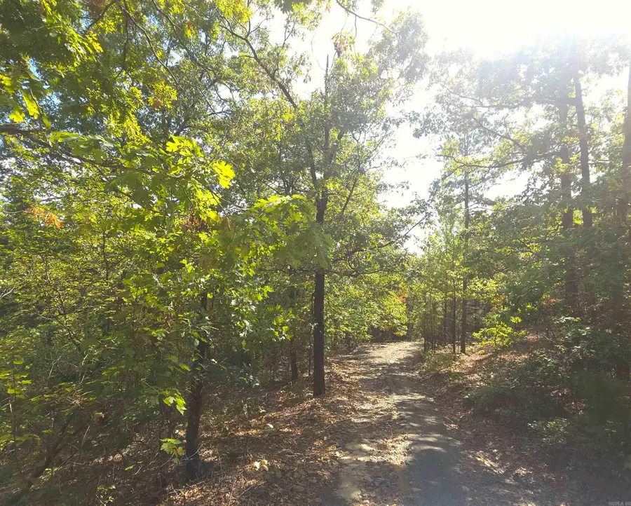 TBD Diamond Rose Lane, Mena, AR 71953 - #2