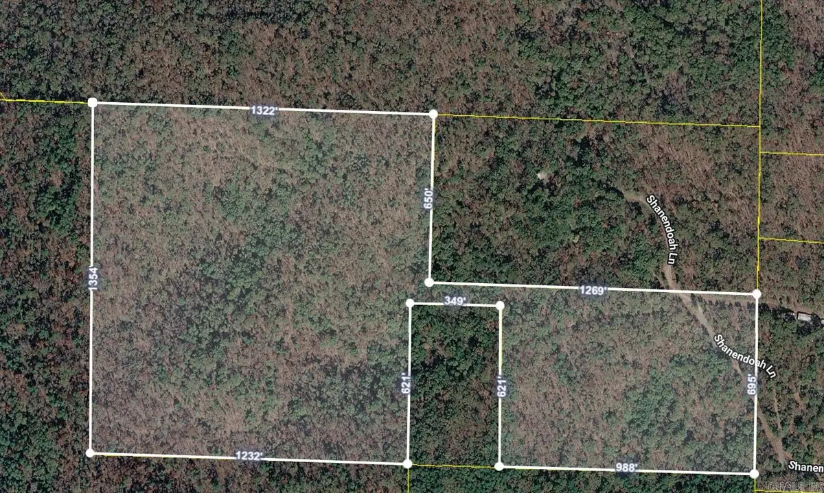 TBD Shanendoah Lane, Mena, AR 71953 - #1