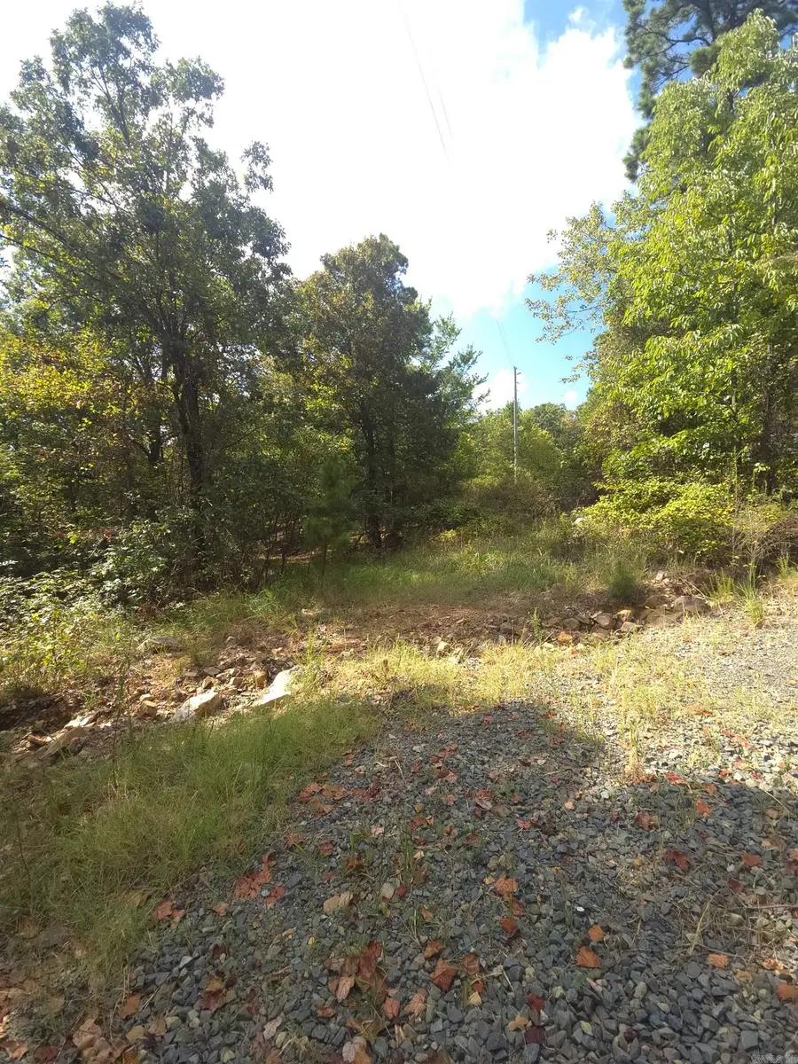 TBD Shanendoah Lane, Mena, AR 71953 - #3