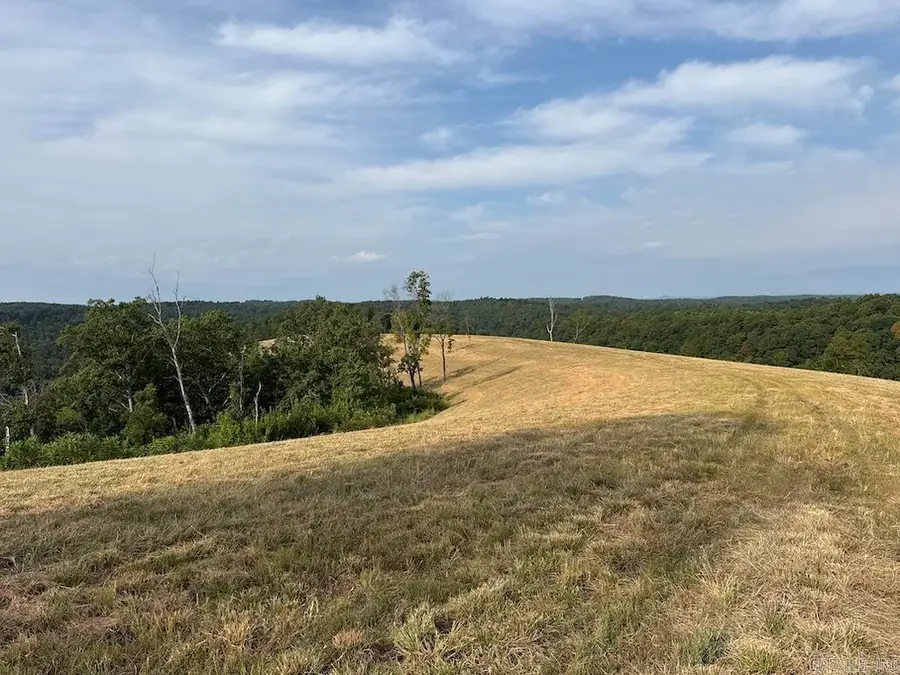 N/A Come Back Ln, Harriet, AR 72639 - #2
