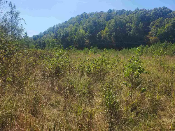 TBD Polk Road 67, Mena, AR 71953