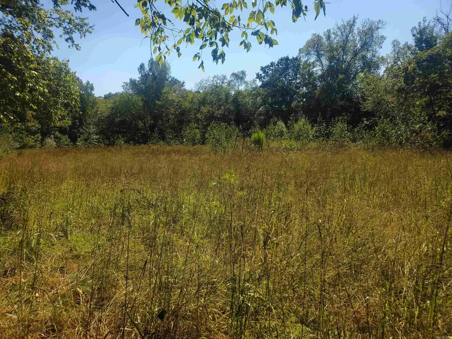 TBD Polk Road 67, Mena, AR 71953 - #2