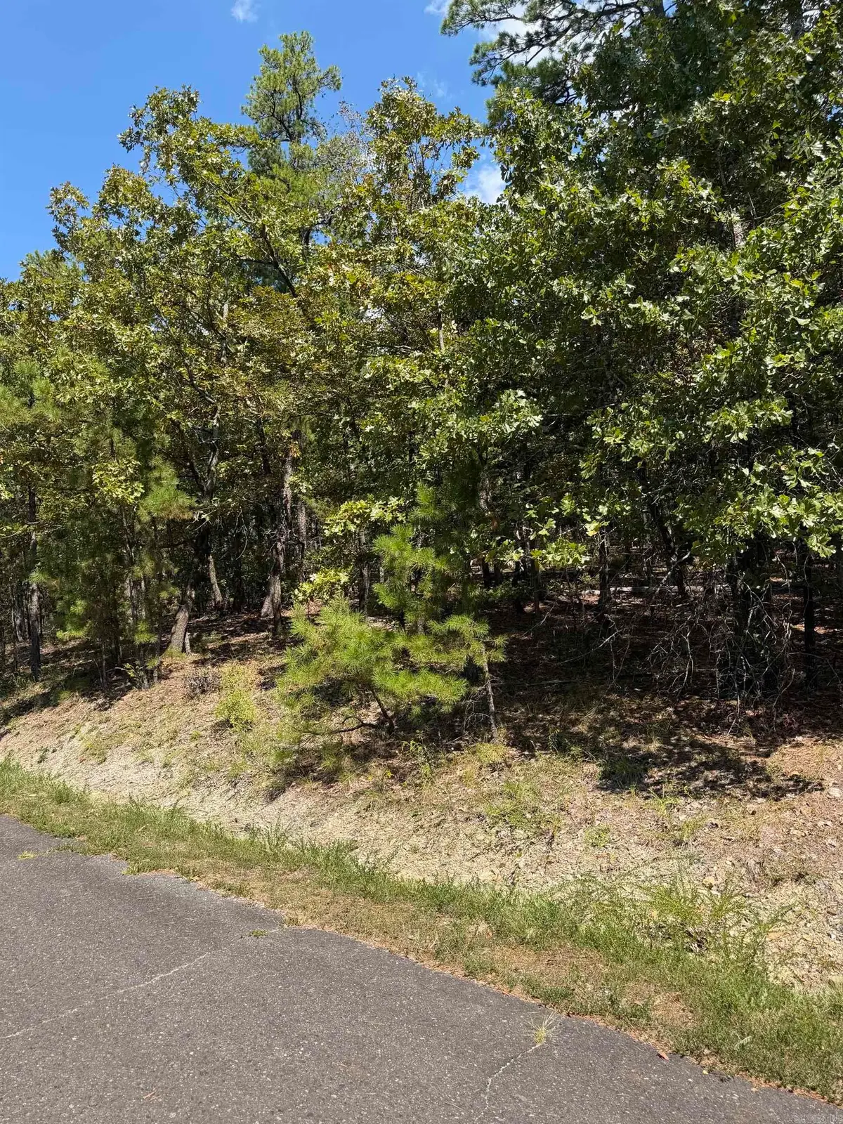 3 Ermalinda Place, Hot Springs Village, AR 71909 - #1