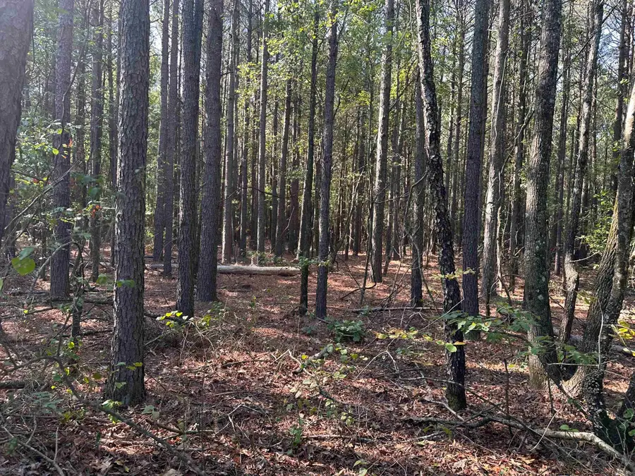 Address Withheld By Seller, McRae, AR 72102 - #3