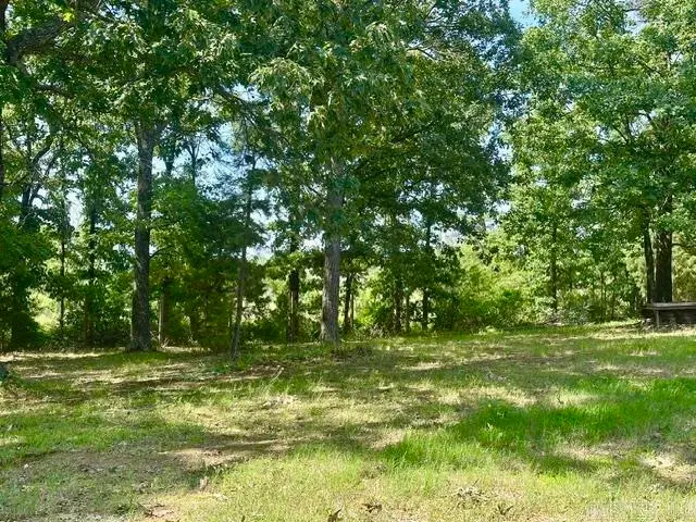 24315 Hwy 365 N, North Little Rock, AR 72113 - #2