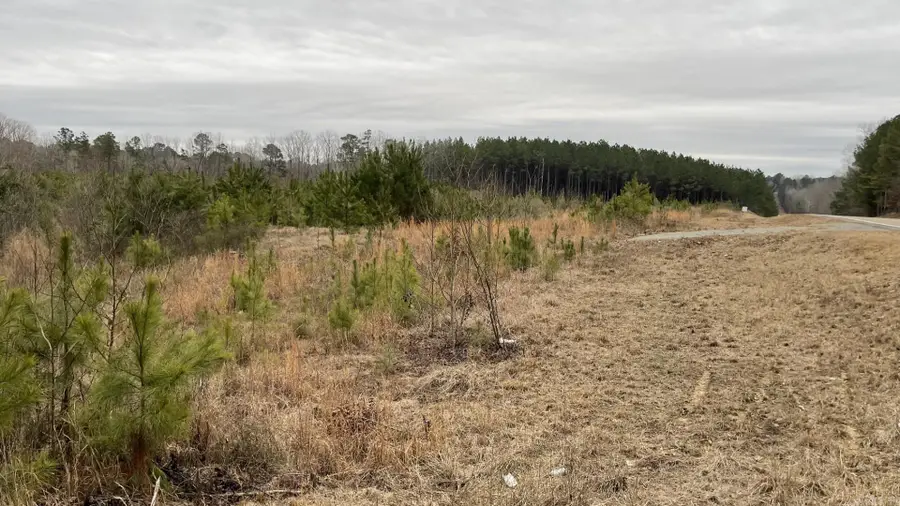 4684-4866 Ar-291, Prattsville, AR 72129 - #3