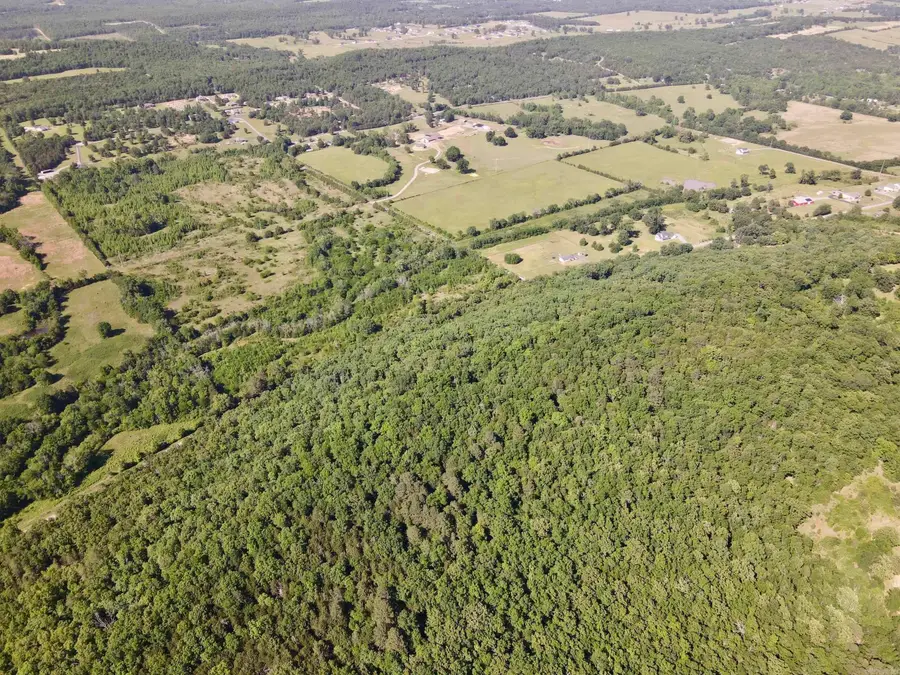 Address Withheld By Seller, Greenbrier, AR 72058 - #3
