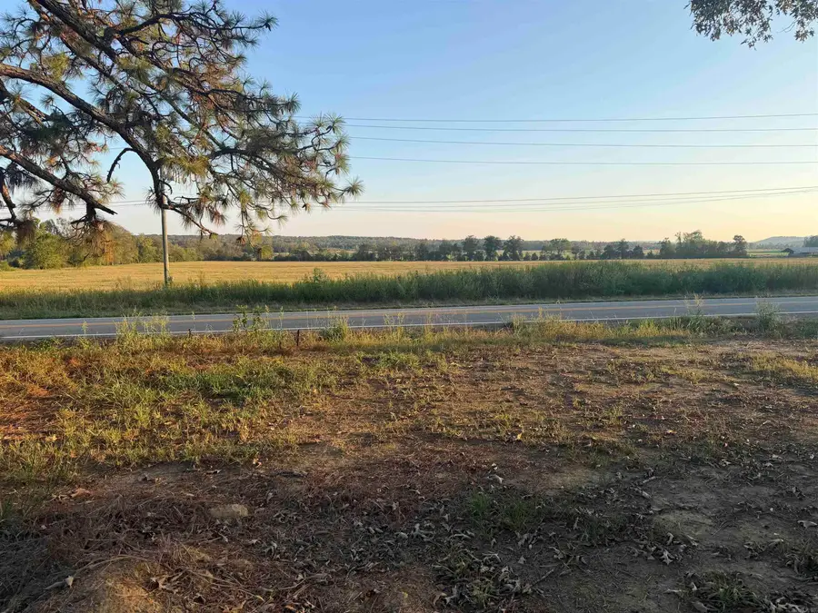 559 Highway 124, Pangburn, AR 72121 - #3