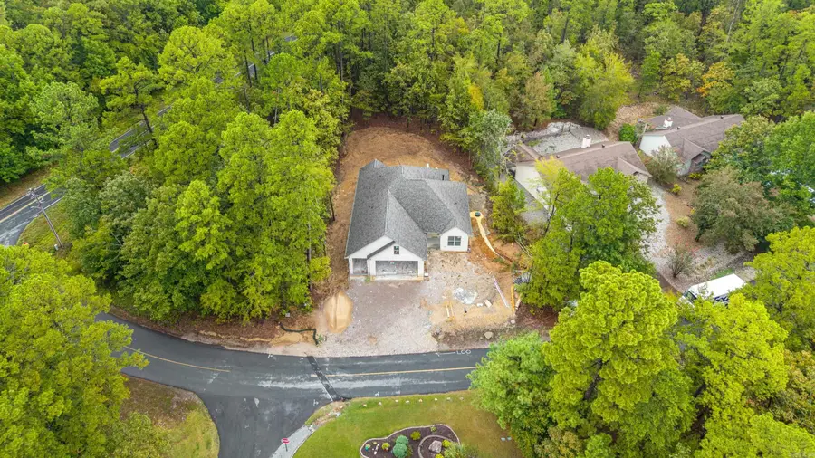 4 Hartura Way, Hot Springs Village, AR 71909 - #2