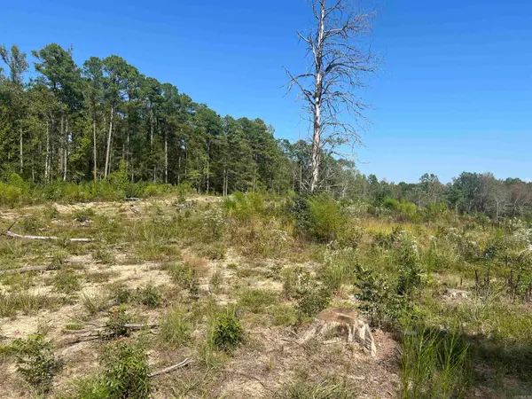 2367 Hwy 346, Amity, AR 71921
