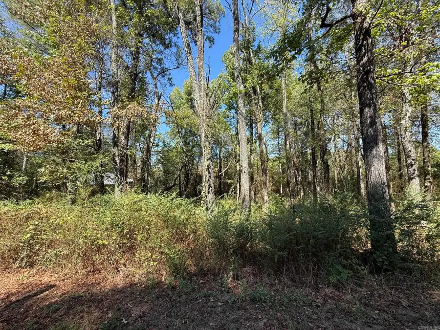XXX Pirate Drive, Hot Springs, AR 71913 - #3