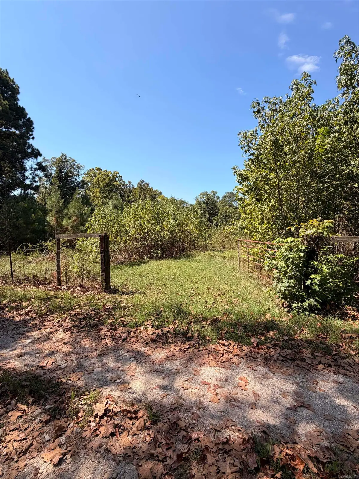 0 Amity Road, Hale, AR 71964 - #1