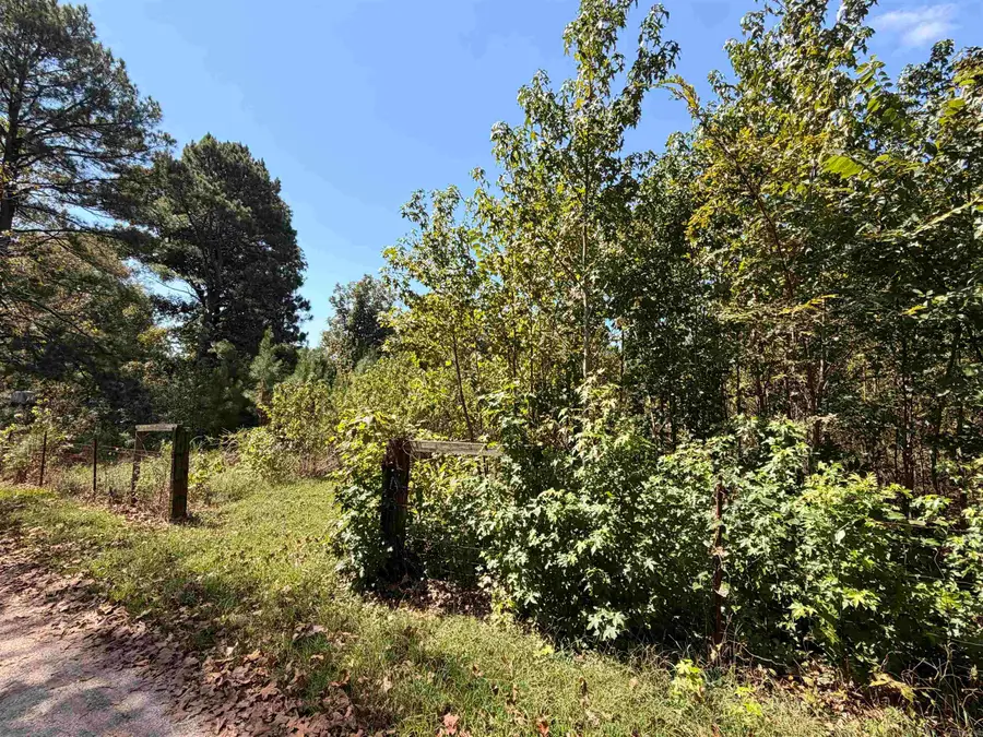 0 Amity Road, Hale, AR 71964 - #2