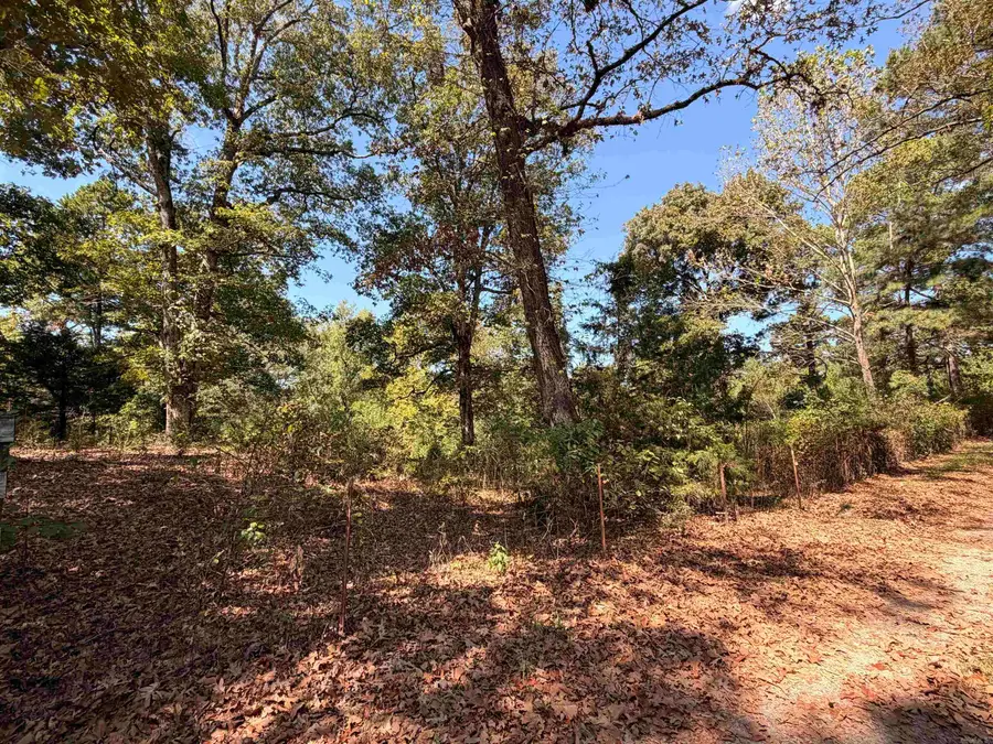 0 Amity Road, Hale, AR 71964 - #3