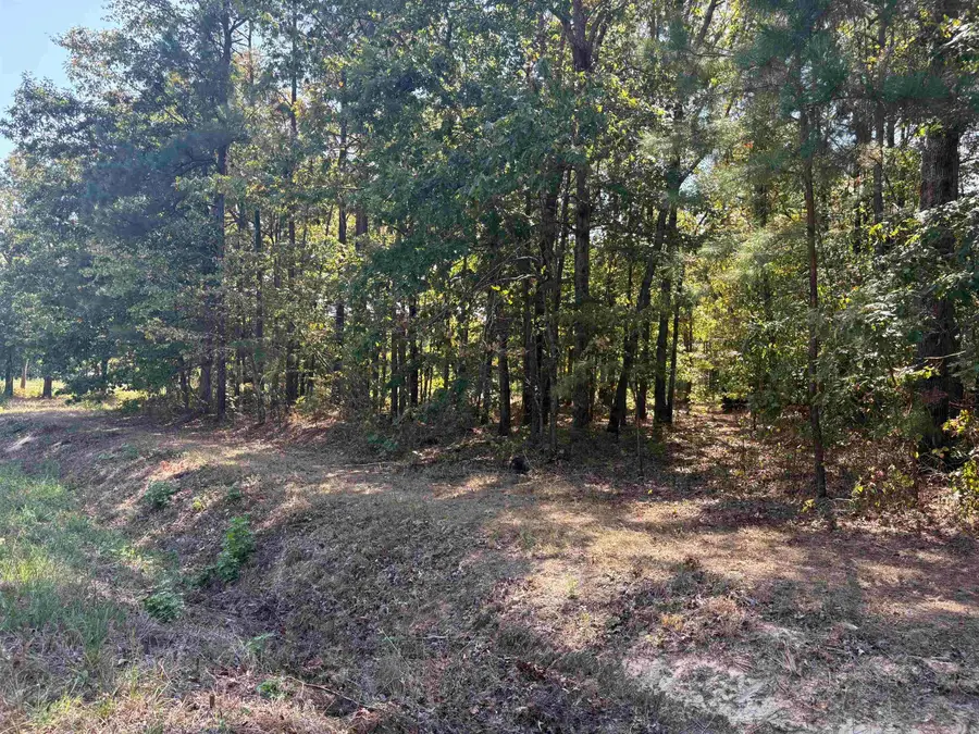 Tract 18 S Highway 167, Sheridan, AR 72150 - #3