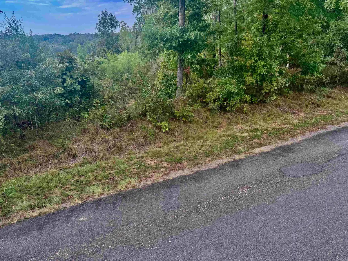 Lot 3318 Ohio Drive, Hot Springs, AR 71913 - #1