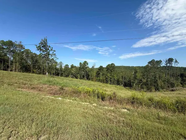 TBD 84 Highway, Bismarck, AR 71929