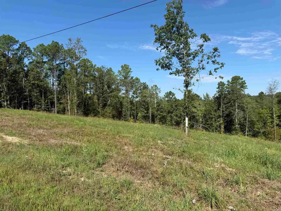 TBD 84 Highway, Bismarck, AR 71929 - #2