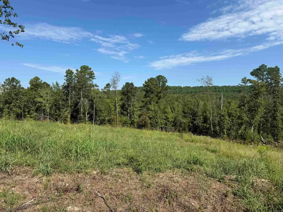 TBD 84 Highway, Bismarck, AR 71929 - #3