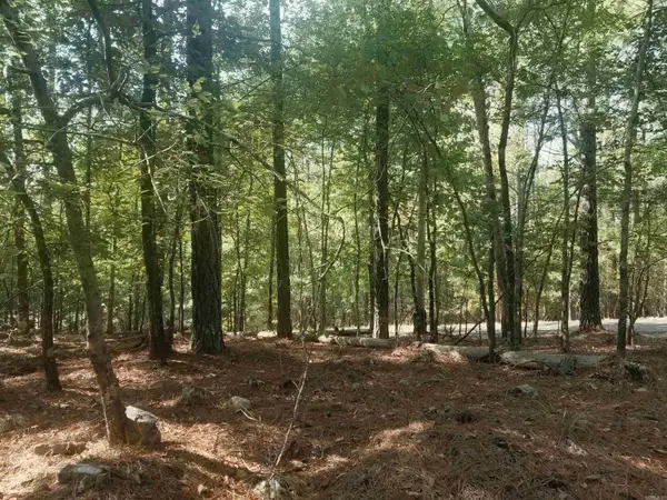 19 Celeste Lane, Hot Springs Village, AR 72122