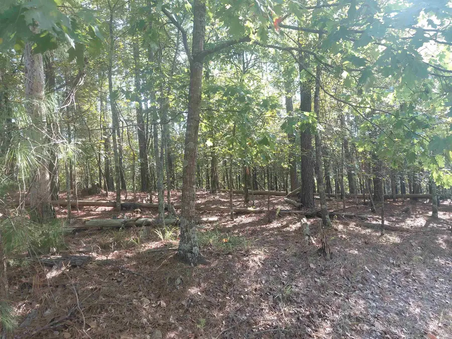 19 Celeste Lane, Marble, AR 72122 - #2