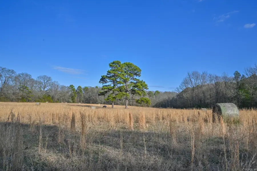 182 Polk Road 672, Mena, AR 71953 - #2