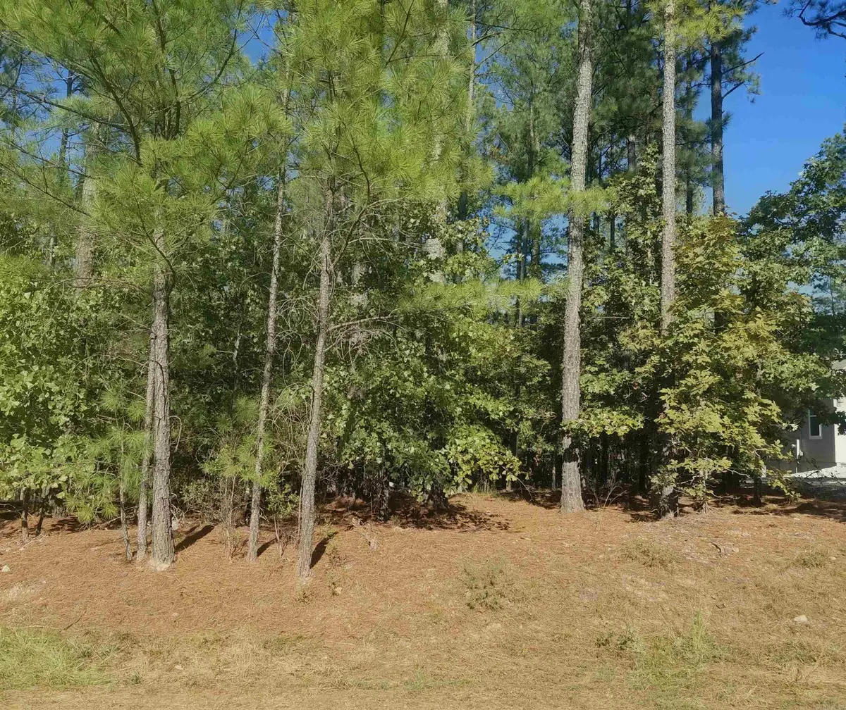 16 Vigoroso Lane, Hot Springs Village, AR 71909 - #1