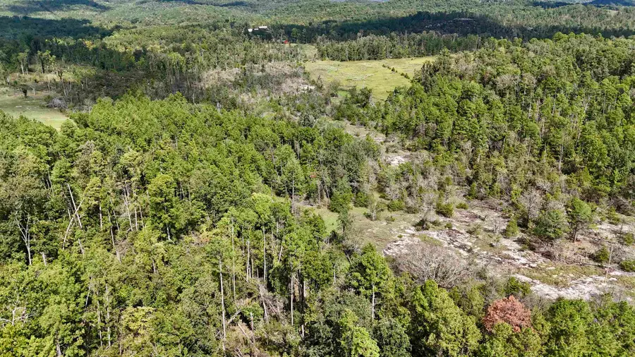 381 Preacher Road, Melbourne, AR 72556 - #2