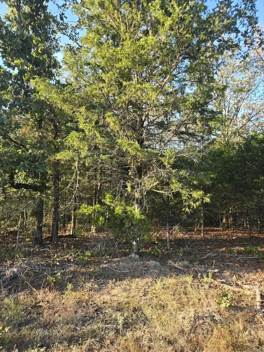 0 Omni Farms Road, Cabot, AR 72023 - #2