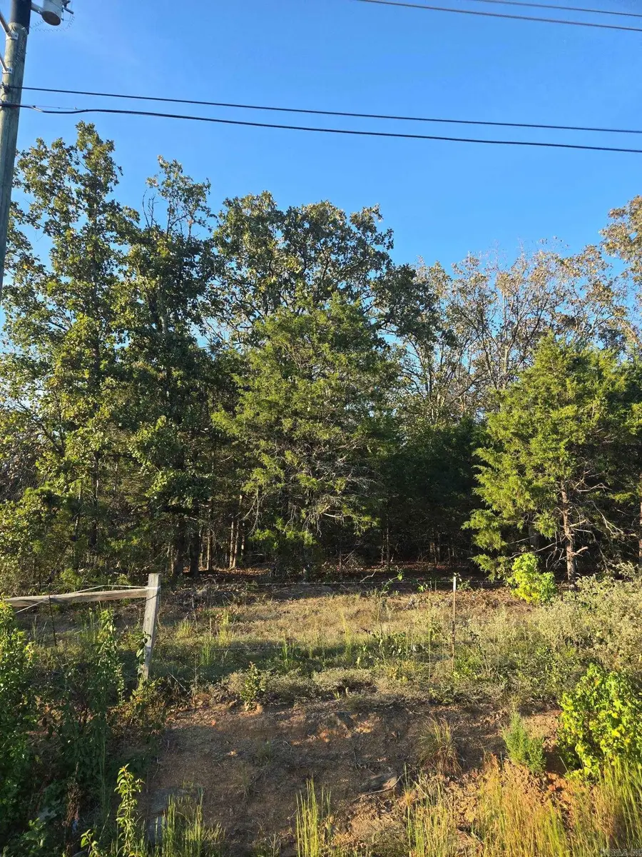 0 Omni Farms Road, Cabot, AR 72023 - #3
