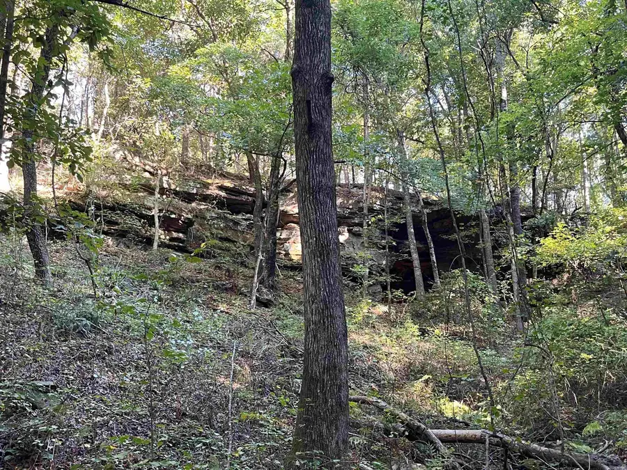 Address Withheld By Seller, Fox, AR 72051 - #3