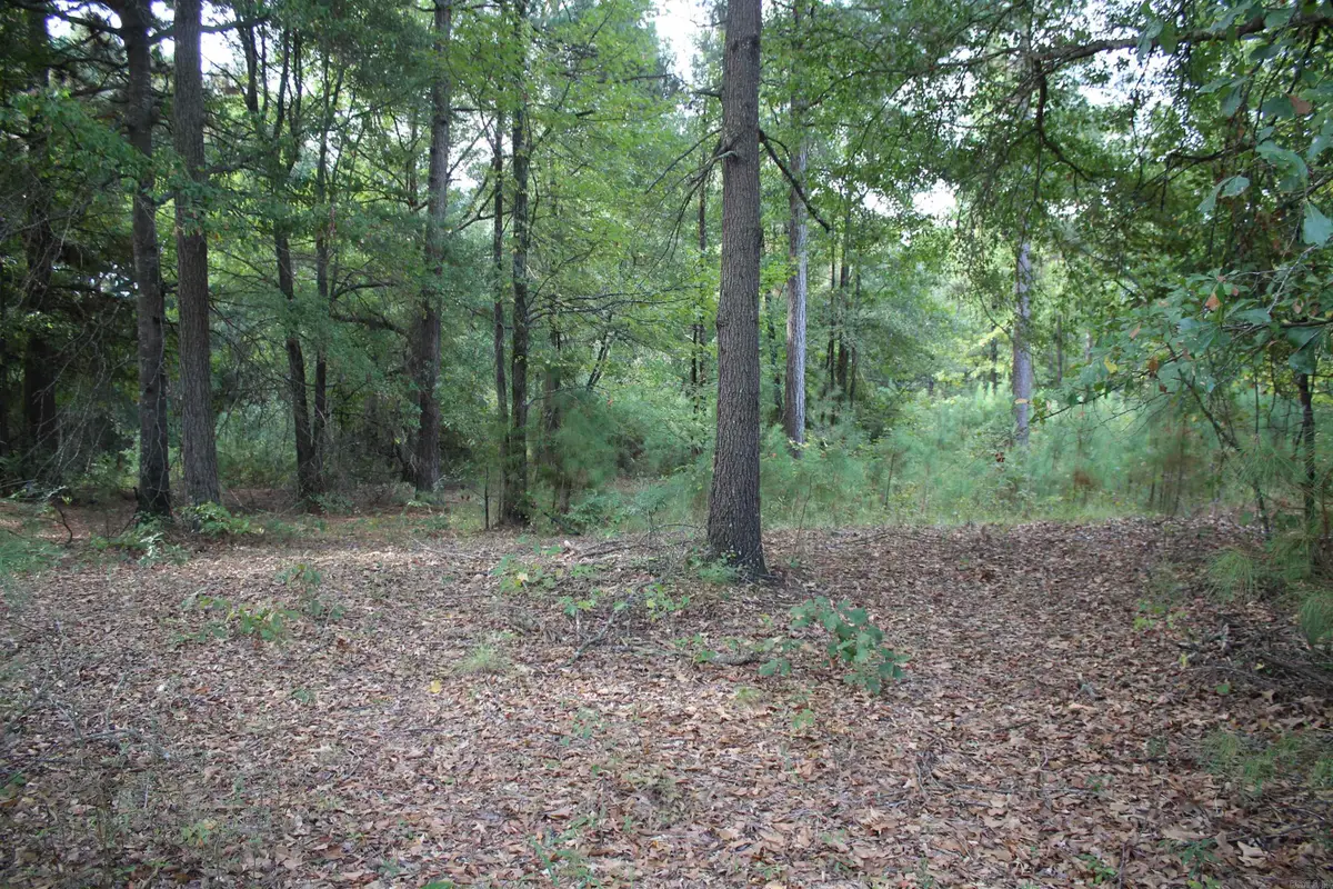 South Bingen Cir., Nashville, AR 71852 - #1