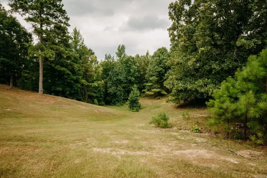 10002 Hwy 298, Benton, AR 72019 - #3