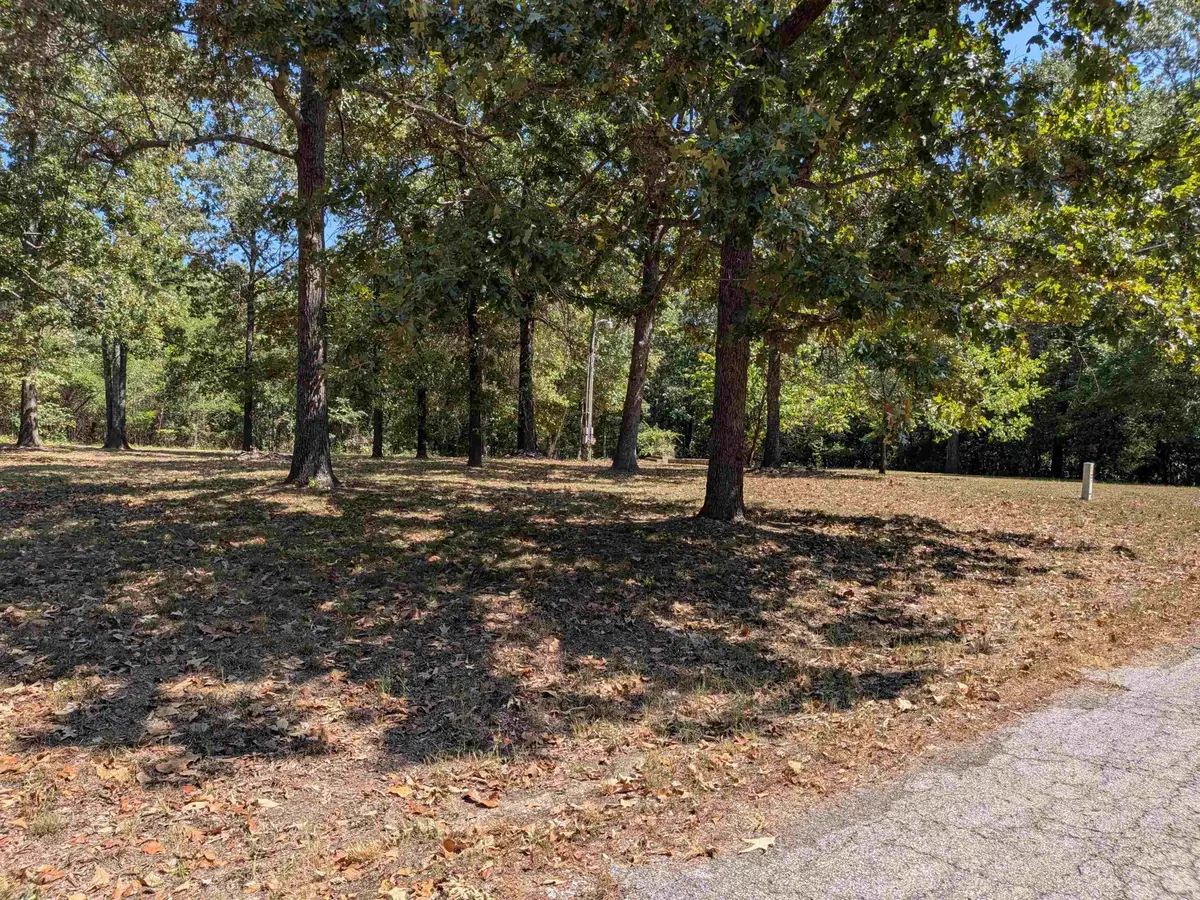 20 Guyon Drive, Cherokee Village, AR 72529 - #1