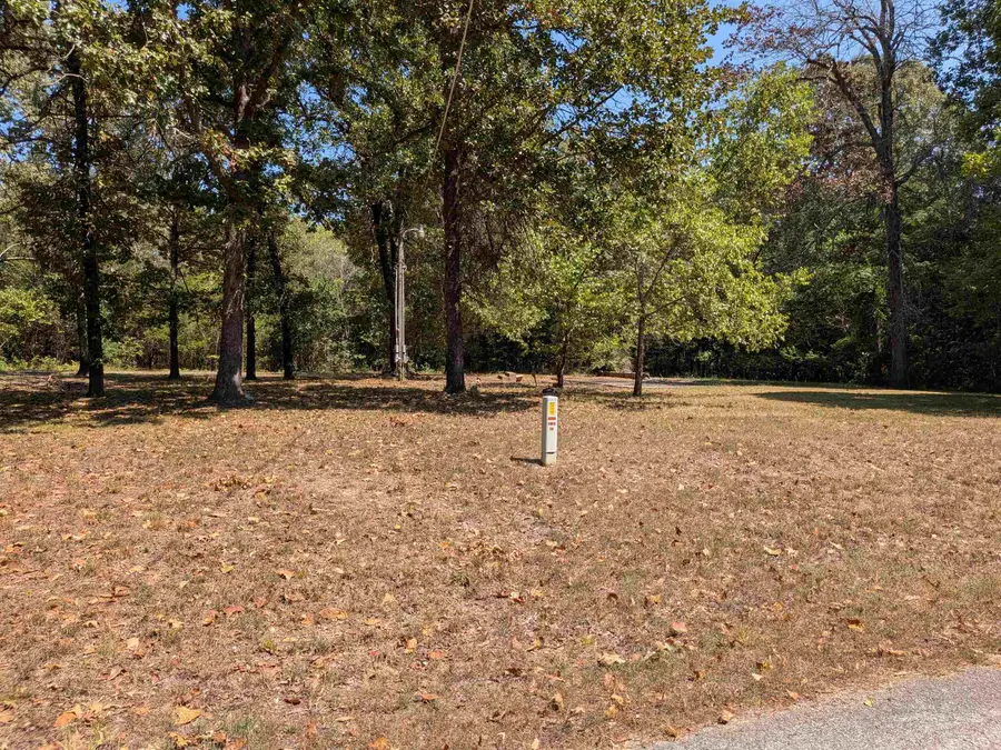 20 Guyon Drive, Cherokee Village, AR 72529 - #2