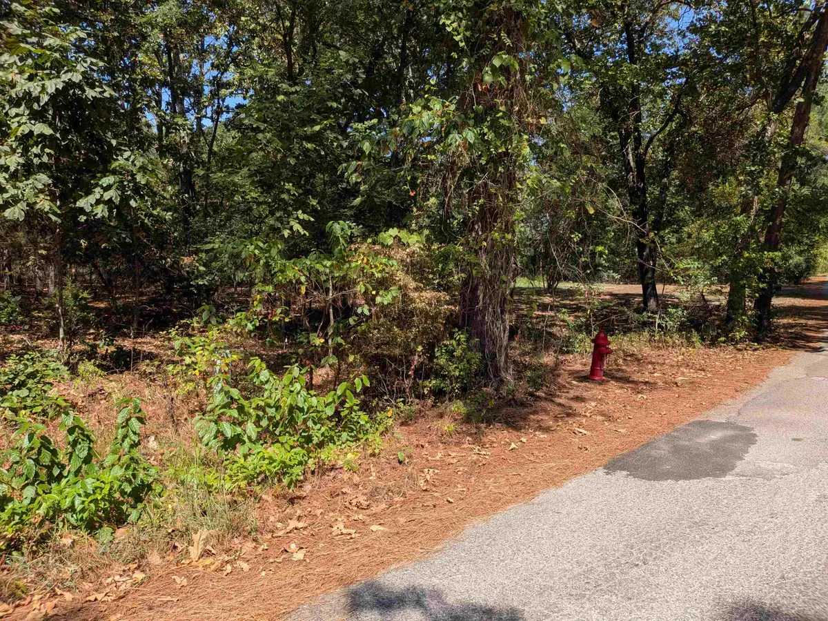 11 Vista Larga Drive, Cherokee Village, AR 72529 - #1
